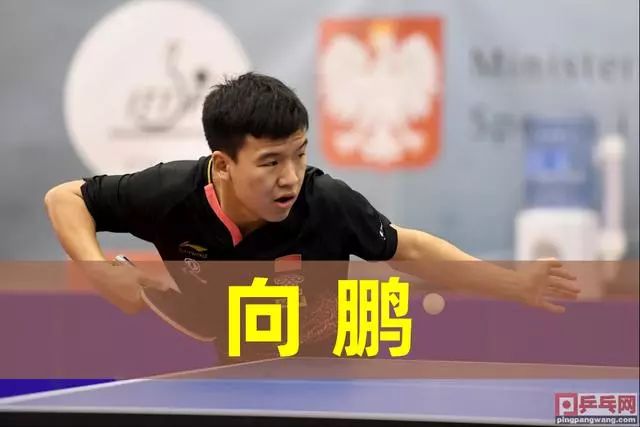 可以给国王 可以给国王